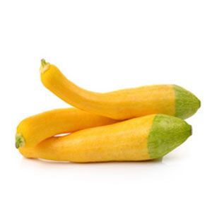 Exotisches Gemüse / Zucchini, gelb