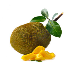 Exotisches Obst / Jackfruit