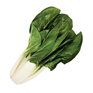 Gemüse / Salat Mangold