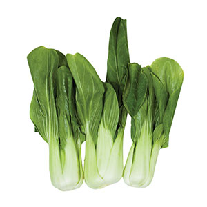 Gemüse / Salat Pak Choy